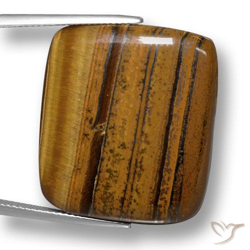 41.49ct طبيعي بنى خبز الزنجبيل عين النمر, وسادة, غير شفاف