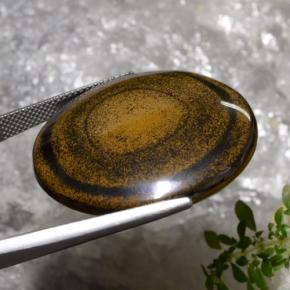 Tiger's Eye طبيعي بلون بني، وزن ‎59.01‎ قيراط، شكل دائري، مقاس ‎30.57‎ مم