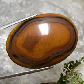 Tiger's Eye طبيعي بلون بنى دافئ، وزن ‎92.65‎ قيراط، شكل بيضاوى، مقاس ‎40.8x29.4‎ مم