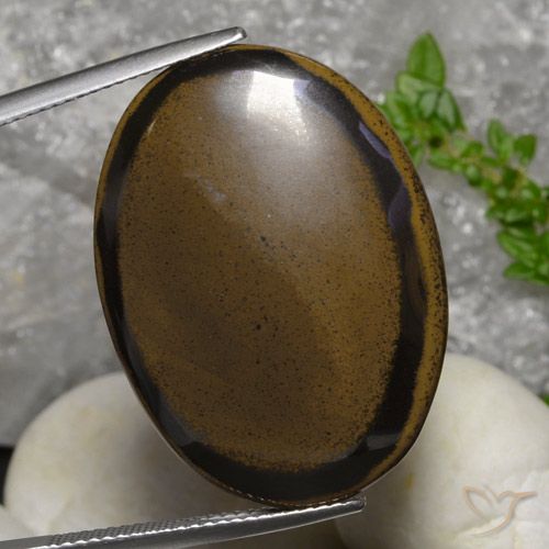 30.73ct طبيعي بنى الجوزية عين النمر, بيضوي, غير شفاف