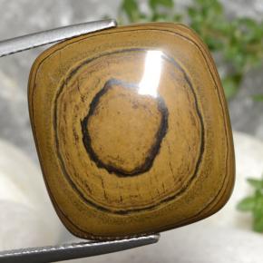 Tiger's Eye طبيعي بلون بني ذهبي، وزن ‎23.77‎ قيراط، شكل قطع وسادة، مقاس ‎21.2x19.7‎ مم