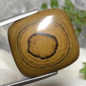 Tiger's Eye طبيعي بلون بني ذهبي، وزن ‎23.77‎ قيراط، شكل قطع وسادة، مقاس ‎21.2x19.7‎ مم