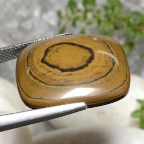 Tiger's Eye طبيعي بلون بني ذهبي، وزن ‎23.77‎ قيراط، شكل قطع وسادة، مقاس ‎21.2x19.7‎ مم