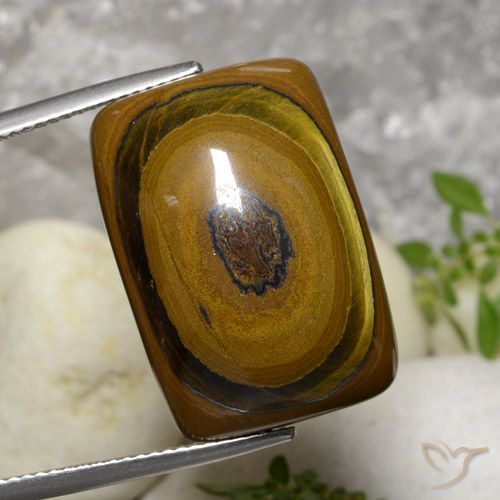 31.07ct طبيعي بنى متوسط عين النمر, وسادة, غير شفاف