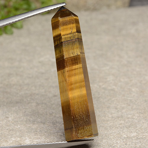 عين النمر بني ذهبي طبيعي، شكل خيالي، 19.17 قيراط، غير شفاف