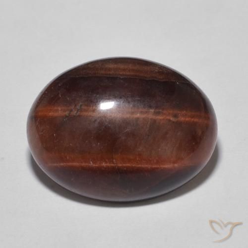 7.47ct طبيعي بنى عين الجمل عين النمر, بيضوي, غير شفاف