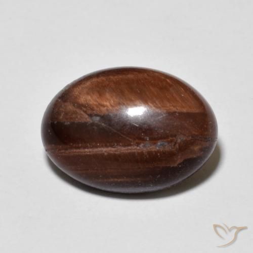 6.22ct طبيعي بني محمر عين النمر, بيضوي, غير شفاف