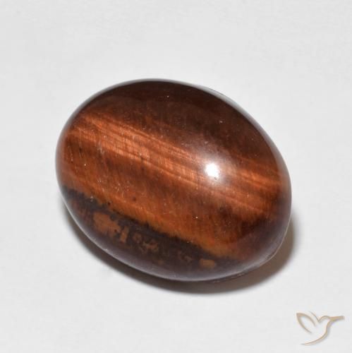 عين النمر Medium Dark-Brown طبيعي، بيضوي، 10.00 قيراط، غير شفاف