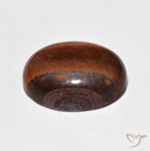 عين النمر Medium Dark-Brown طبيعي، بيضوي، 10.00 قيراط، غير شفاف