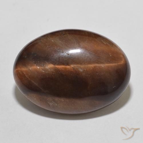 10.01ct طبيعي بني محمر عين النمر, بيضوي, غير شفاف
