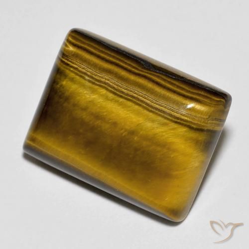 عين النمر Medium Dark-Brown طبيعي، باجيت، 11.83 قيراط، غير شفاف