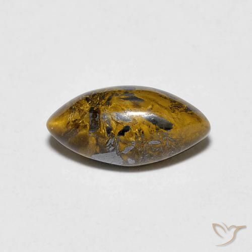 1.53ct طبيعي بني ذهبي عين النمر, ماركيز, غير شفاف