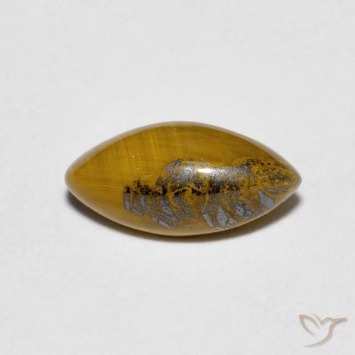 1.20ct طبيعي Medium Dark-Brown عين النمر, ماركيز, غير شفاف