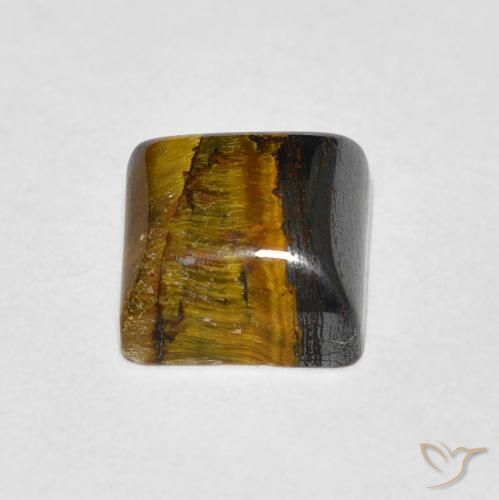 عين النمر Medium Dark-Brown طبيعي، مربع، 1.43 قيراط، غير شفاف