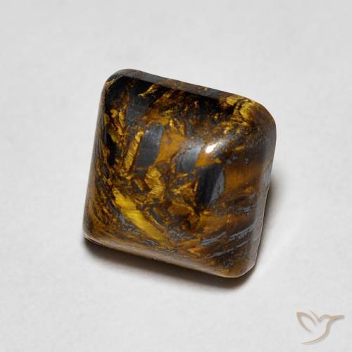 1.53ct طبيعي بنى الجوزية عين النمر, مربع, غير شفاف