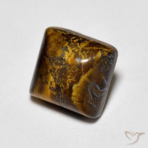 عين النمر Medium Light-Brown طبيعي، مربع، 1.34 قيراط، غير شفاف