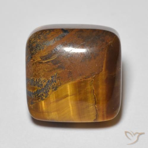 6.48ct طبيعي بني ذهبي عين النمر, وسادة, غير شفاف