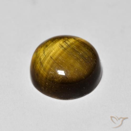 عين النمر Medium Dark-Brown طبيعي، دائري، 1.87 قيراط، غير شفاف