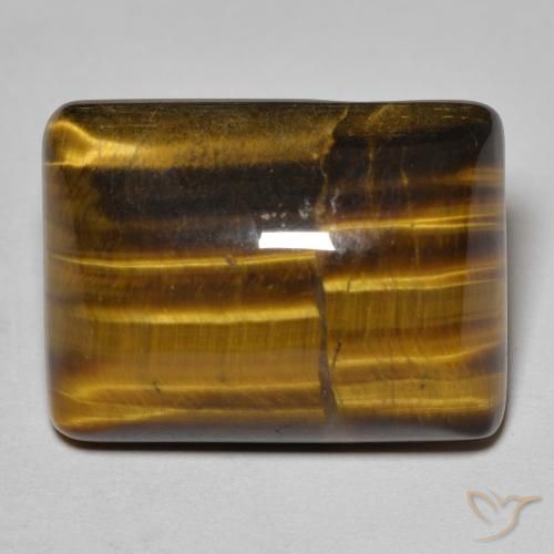 19.67ct طبيعي بني ذهبي عين النمر, باجيت, غير شفاف