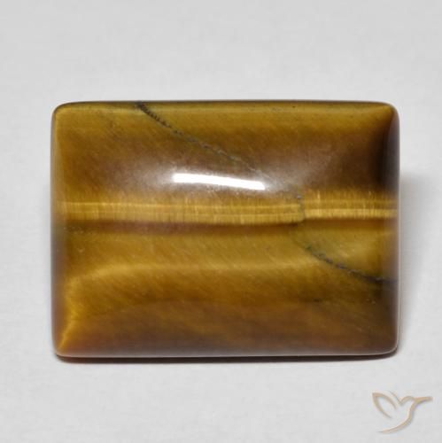 12.27ct طبيعي بنى متوسط عين النمر, باجيت, غير شفاف