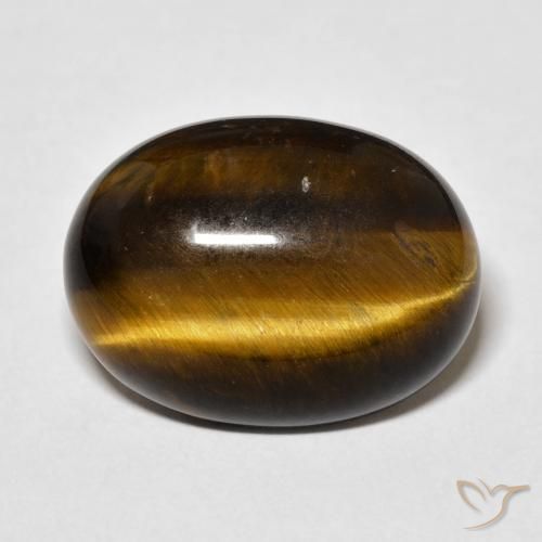14.75ct طبيعي Medium Dark-Brown عين النمر, بيضوي, غير شفاف