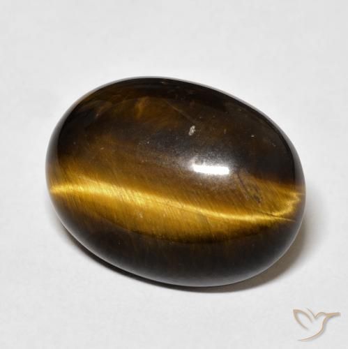 عين النمر Medium Dark-Brown طبيعي، بيضوي، 14.75 قيراط، غير شفاف