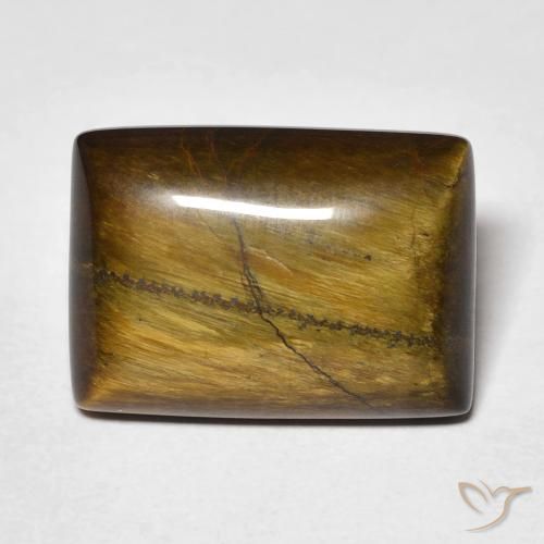 12.80ct طبيعي بنى دافئ عين النمر, باجيت, غير شفاف