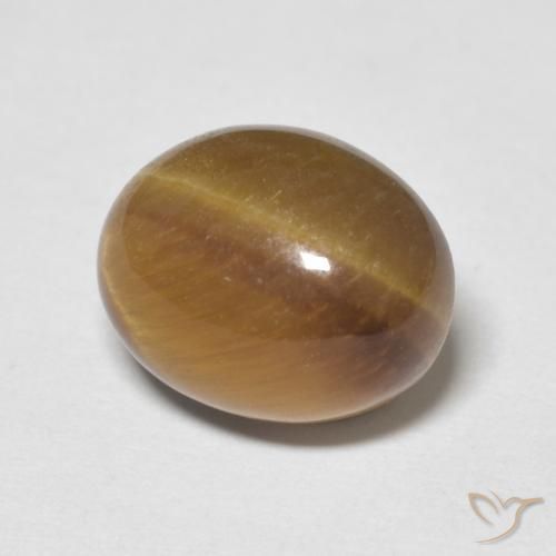 عين النمر بنى دافئ طبيعي، بيضوي، 3.12 قيراط، غير شفاف