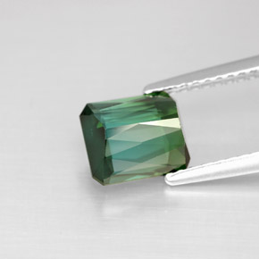 تورمالين طبيعي بلون أخضر مزرق، وزن ‎1.68‎ قيراط، شكل قص الزمرد، مقاس ‎7.3x6.4‎ مم