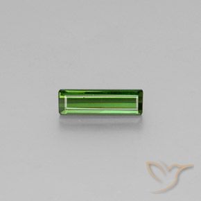 1.46ct طبيعي أخضر متوسط تورمالين, قص الزمرد, VVS-VS