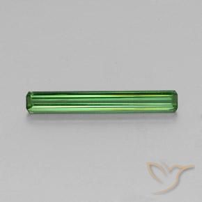 1.44ct طبيعي أخضر متوسط تورمالين, قص الزمرد, VVS-VS