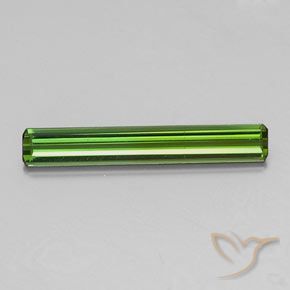 1.44ct طبيعي الأخضر الغامق تورمالين, قص الزمرد, قليلا جدا