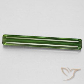 2.53ct طبيعي أخضر الغابات تورمالين, قص الزمرد, قليلا جدا
