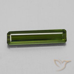 2.11ct طبيعي أخضر الغابات تورمالين, قص الزمرد, VVS