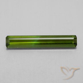 2.03ct طبيعي أخضر الطحالب البحرية تورمالين, قص الزمرد, VVS-VS