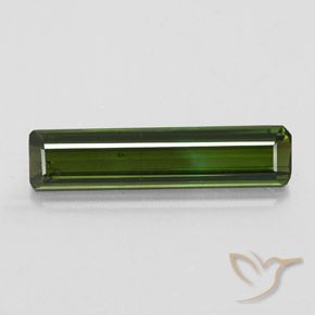 2.55ct طبيعي أخضر غامق تورمالين, قص الزمرد, SI