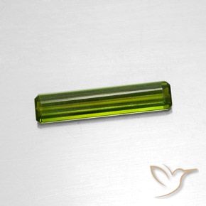 1.88ct طبيعي أخضر الطحالب البحرية تورمالين, قص الزمرد, VVS-VS