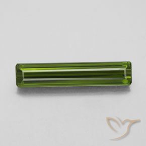 2.61ct طبيعي أخضر الطحالب البحرية تورمالين, قص الزمرد, VVS