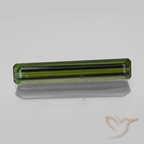 2.36ct طبيعي أخضر الغابات تورمالين, قص الزمرد, VVS-VS
