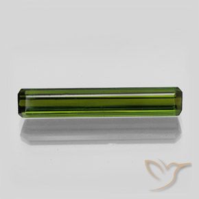 2.70ct طبيعي أخضر الغابات تورمالين, قص الزمرد, VVS-VS