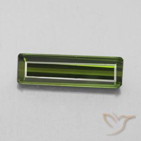 2.37ct طبيعي أخضر الغابات تورمالين, قص الزمرد, SI