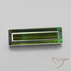 2.92ct طبيعي أخضر الغابات تورمالين, قص الزمرد, VS-SI