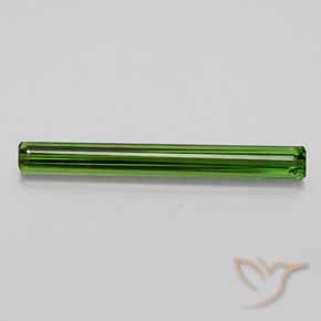 2.49ct طبيعي أخضر الغابات تورمالين, قص الزمرد, VVS
