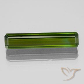 2.83ct طبيعي أخضر ترابى تورمالين, قص الزمرد, قليلا جدا
