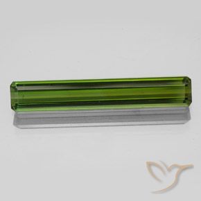 2.47ct طبيعي أخضر الغابات تورمالين, قص الزمرد, VS-SI