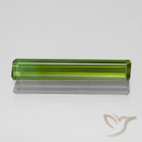 1.52ct طبيعي أخضر الطحالب البحرية تورمالين, قص الزمرد, VVS
