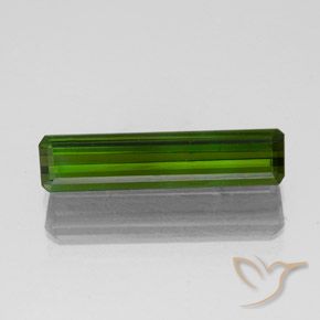 1.47ct طبيعي أخضر الغابات تورمالين, قص الزمرد, VVS-VS