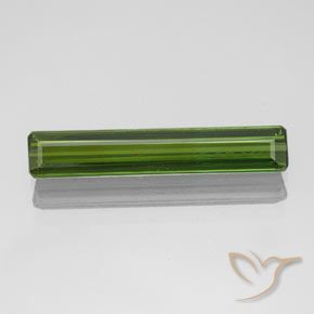 1.70ct طبيعي أخضر الغابات تورمالين, قص الزمرد, VVS