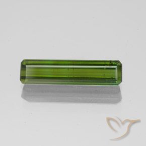 1.45ct طبيعي أخضر الغابات تورمالين, قص الزمرد, SI