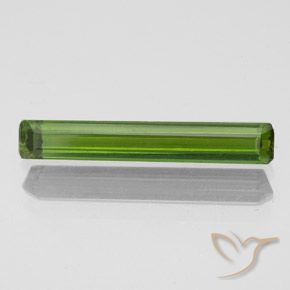 1.00ct طبيعي أخضر الطحالب البحرية تورمالين, قص الزمرد, قليلا جدا